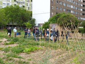 Los huertos urbanos de Benimaclet, una propuesta de economía colectiva. Foto Mercedes Grau.